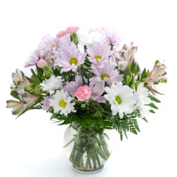 Pink and white daisies with alstroemeria in a glass vase