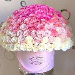 Large dome of pink and cream roses arranged in a round pastel pink hatbox.