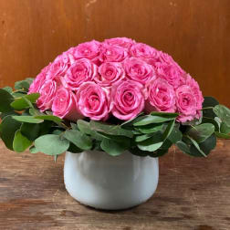 Pink rose arrangement in a white vase with round green foliage