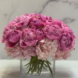 Peony Dreams