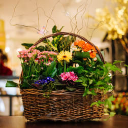 Flowering plant basket