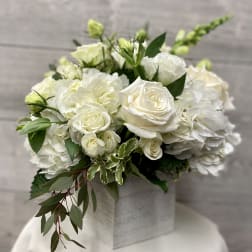 White roses and hydrangeas arranged in a square box with greenery