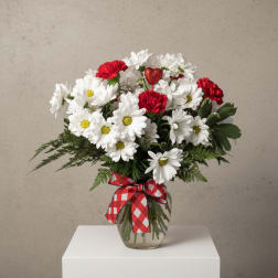 Bouquet of white daisies and red carnations in a glass vase with a red plaid ribbon