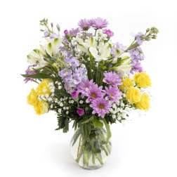 Garden Glow