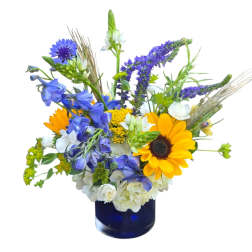 Summer Blues