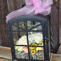 Butterfly Dream - Small