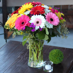 Colorful gerbera daisy bouquet in a clear glass vase