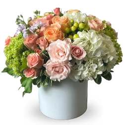 Blush Blooms