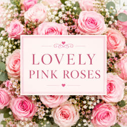 Lovely Pink Roses