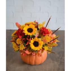 Sunflower arrangement in an orange pumpkin container