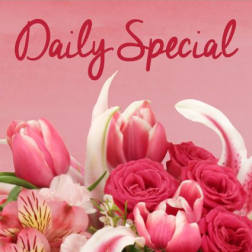 Pink and white flowers arranged beneath the words Daily Special