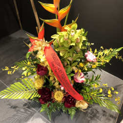Tropical Anuenue AR2502