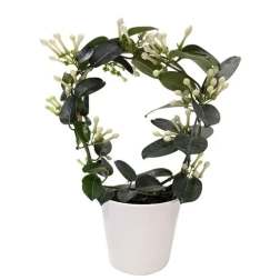 STEPHANOTIS IN CERAMIC