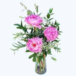 Pink peonies in a glass vase with white filler flowers