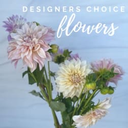 Pastel pink and cream dahlia stems against a light blue background