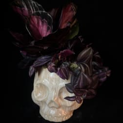 Dark purple flowers arranged in a white skull-shaped vase