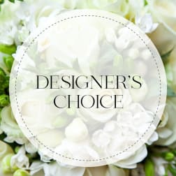 Designer's Choice