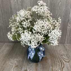 White baby's breath arrangement in a dark vase with a blue ribbon