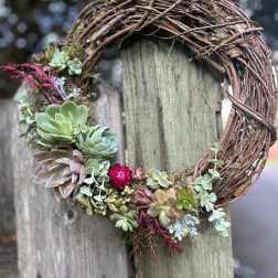 Succulent grapevine wreath