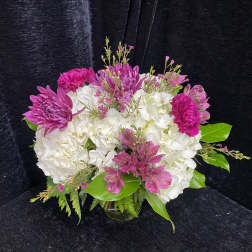 Fun and Fuchsia