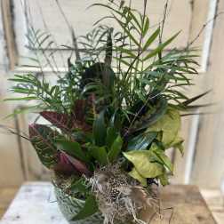 Mixed tropical plants in a glass bowl with a small bird decoration