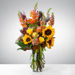 Hello Fall by BloomNation™