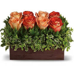 Six peach and red roses arranged in a rectangular wooden box