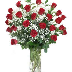 Red roses arranged in a clear glass vase with white filler flowers