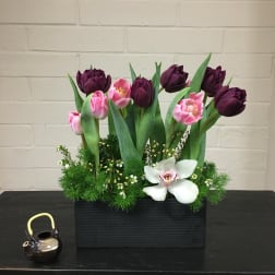 Tulips Galore!