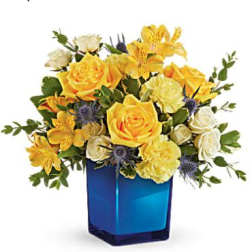 Golden Blue