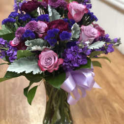 Petaluma bqt
