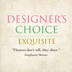 Text graphic reading "Designer’s Choice Exquisite" on a cream background