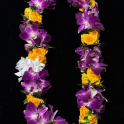 Purple orchid and yellow rose lei on a black background