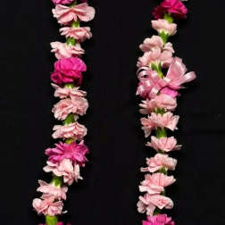 Pink flower lei on a black background
