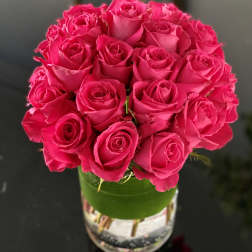 Kiko Roses Galore