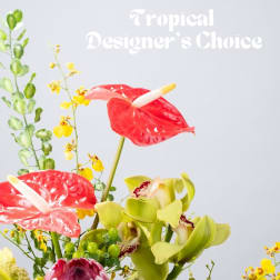 Tropical bouquet with red anthuriums, green orchids, and yellow spray flowers