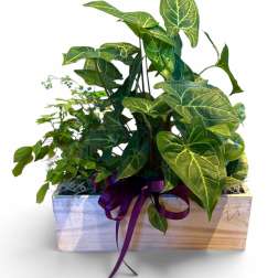 Wooden Window Planter