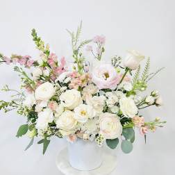 Blush Elegance (L)