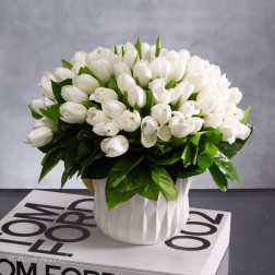 White Tulips On White