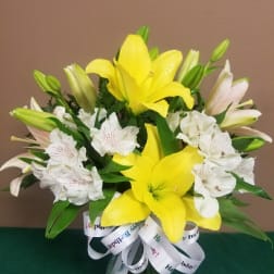 Have a Lilly Good Birthday