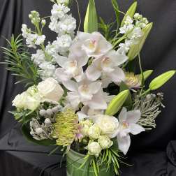 White Orchid