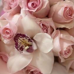 Pink roses with white orchid petals in a close-up bouquet