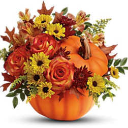 Warm Fall Wishes