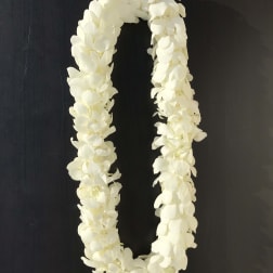 White flower lei on a dark background