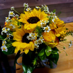 Dip into a little Sunshine