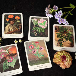 Flower-themed cards and small blossoms arranged on a dark surface
