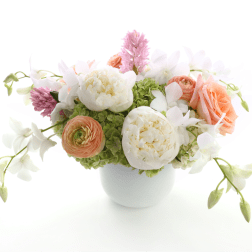 PASTEL PLEASURE
