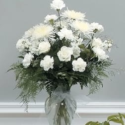 White Wonder