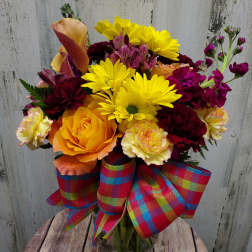 Burst of Color