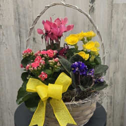 Blooming Basket for Mom